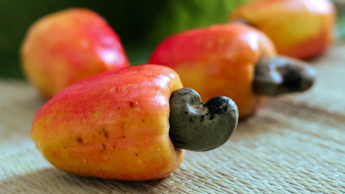 カシューアップル